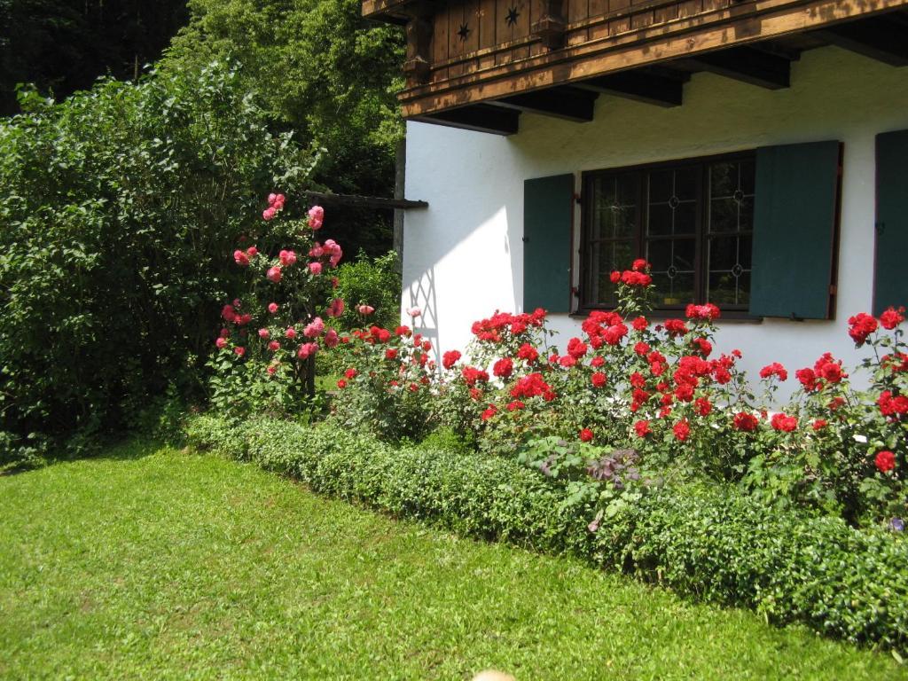 Haus Alpenrose Apartment Швангау Екстериор снимка